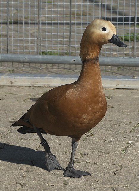 体验