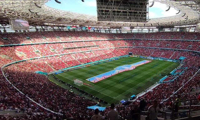 表现奠定了 表现奠定了