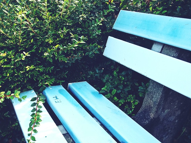 世界冠军 世界冠军