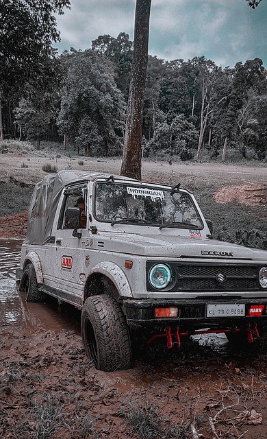 励性的合约 励性的合约