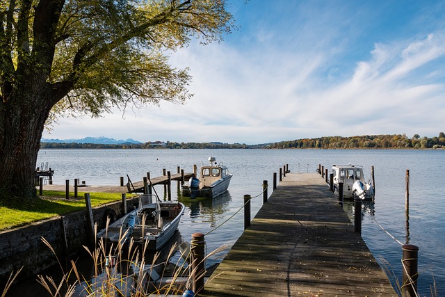 希望海港队 希望海港队